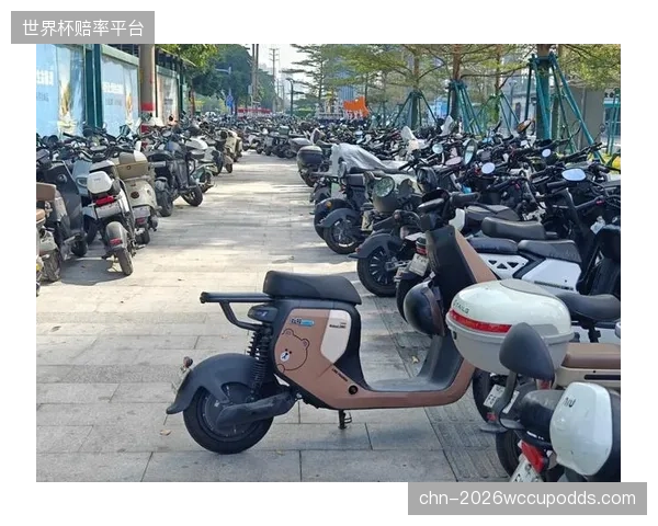 数字化评价体系对高空和室内关注过多，却对被共享单车占用的“断头”盲道等基础问题权重不足